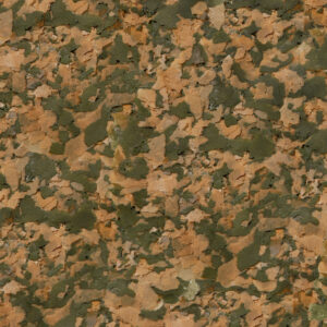 Alternative view of SERA San Nature