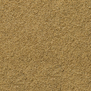 Alternative view of SERA Immune Probiotic Granules XS (100ml/48gr)