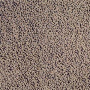 Alternative view of SERA granured nature