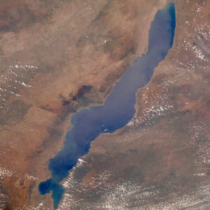 Alternative view of Κιχλίδες Αφρικής Malawi Mix 7 εκατ.