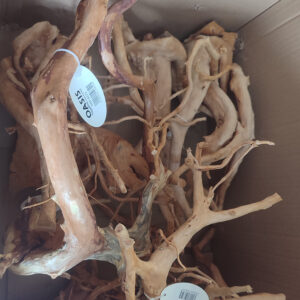 Alternative view of Φυσικό Ξύλο Red Moor 30-40 εκατ. (Τιμή ανα τμχ)