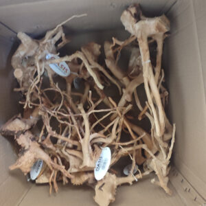 Alternative view of Φυσικό Ξύλο Redmoor 15-30 εκατ. (Τιμή ανα τμχ)