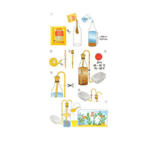 Alternative view of Sera artemia breeding kit