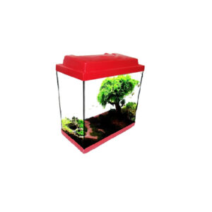 Ενυδρεία με φωτισμό