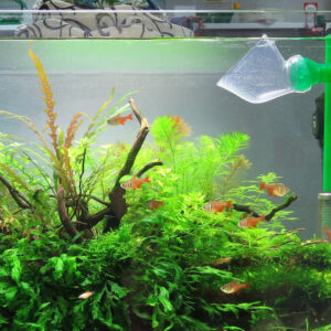 Alternative view of Eheim flow pipe