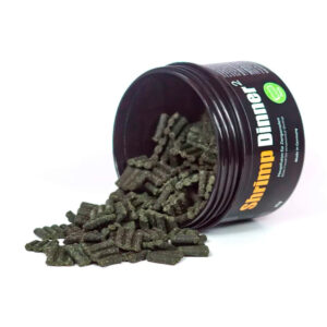 Alternative view of GlasGarten Shrimp Dinner 2