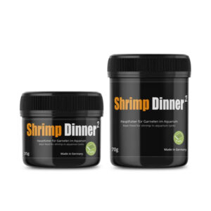 GlasGarten Shrimp Dinner 2