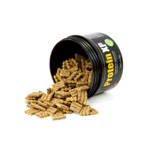 Alternative view of GlasGarten Protein XP