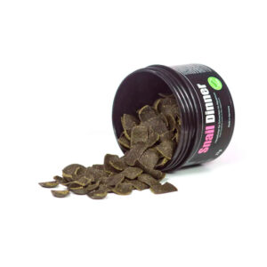 Alternative view of GlasGarten Snail Dinner