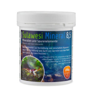 Alternative view of SaltyShrimp - Sulawesi Mineral 8,5